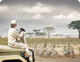 Safari In The Serengeti National Park