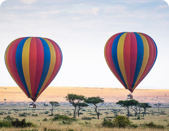 Take A Balloon Safari