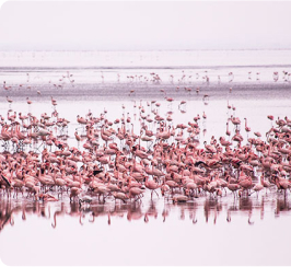 Serengeti National Park